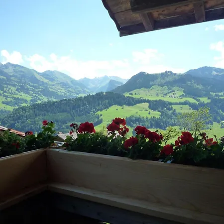 アパート Niesen View By Interhome Erlenbach im Simmental